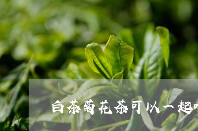 白茶菊花茶可以一起喝吗/2023110198502