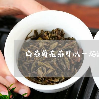 白茶菊花茶可以一起泡水吗/2023110782826