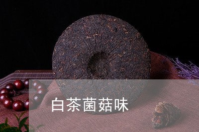 白茶菌菇味/2023051012837