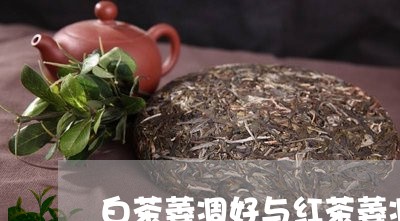 白茶萎凋好与红茶萎凋好/2023110195958