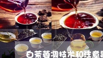 白茶萎凋技术和注意事项/2023110113926