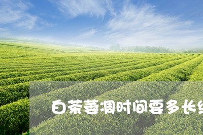 白茶萎凋时间要多长结束/2023110120704