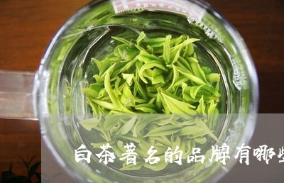 白茶著名的品牌有哪些牌子/2023110897050