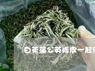 白茶蒲公英陈皮一起泡/2023100712693