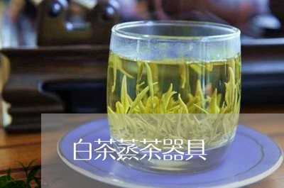 白茶蒸茶器具/2023052199693