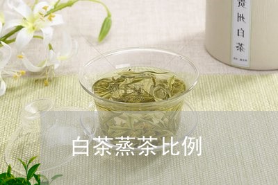 白茶蒸茶比例/2023052112604