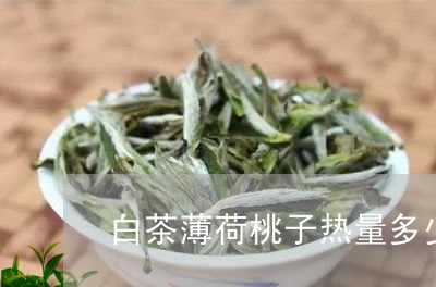 白茶薄荷桃子热量多少/2023100761715