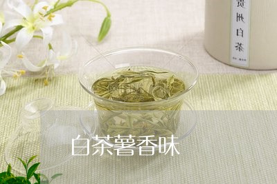 白茶薯香味/2023051053727