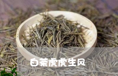 白茶虎虎生风/2023052100715