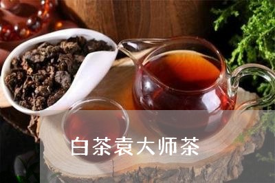 白茶袁大师茶/2023052192704