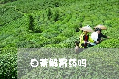 白茶解胃药吗/2023052163926