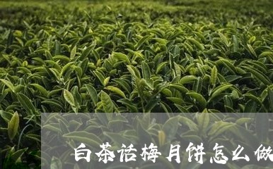 白茶话梅月饼怎么做的视频/2023110841692