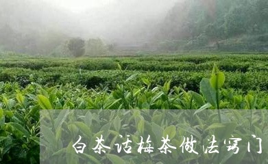 白茶话梅茶做法窍门/2023082444269