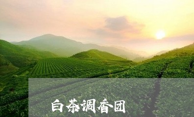 白茶调香团/2023051072715