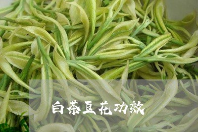 白茶豆花功效/2023052120693