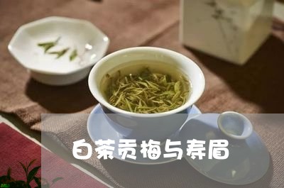 白茶贡梅与寿眉/2023112540694