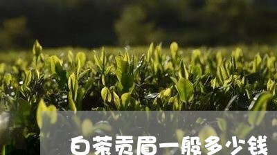 白茶贡眉一般多少钱/2023120309384