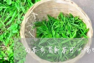 白茶贡眉新茶可以喝吗/2023092143027