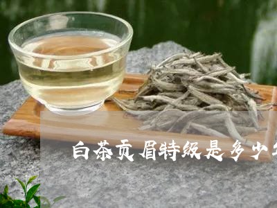 白茶贡眉特级是多少年的茶/2023062731614