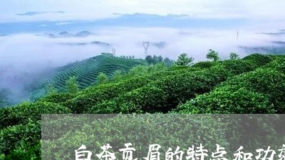 白茶贡眉的特点和功效/2023092181824