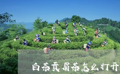 白茶贡眉茶怎么打开/2023082489581