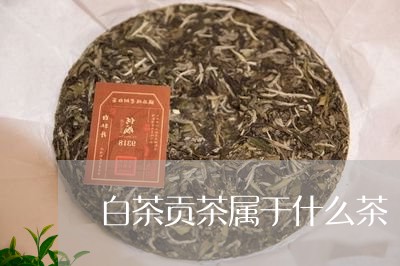 白茶贡茶属于什么茶/2023082452726