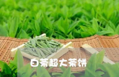 白茶超大茶饼/2023052166262