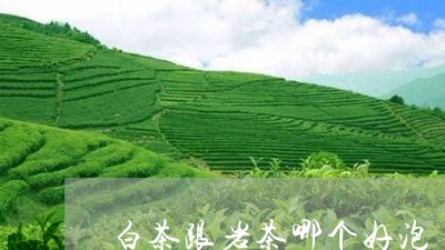 白茶跟岩茶哪个好泡/2023082408150