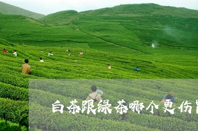 白茶跟绿茶哪个更伤胃黏膜/2023110700803