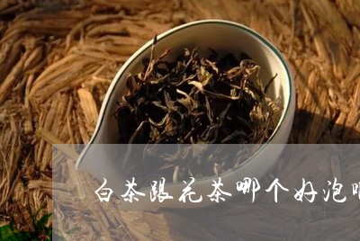 白茶跟花茶哪个好泡啊/2023100715370