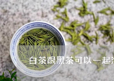 白茶跟黑茶可以一起泡吗/2023110172926