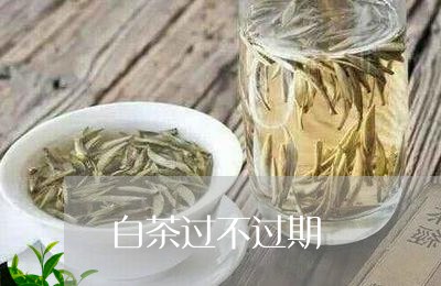 白茶过不过期/2023052146260