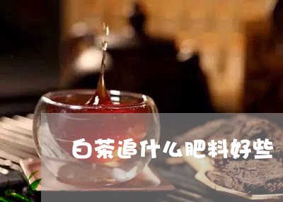 白茶追什么肥料好些/2023082492937