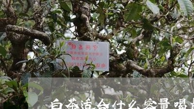 白茶适合什么容量喝最好/2023110182737