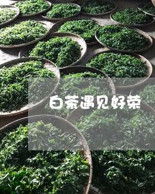 白茶遇见好荣/2023052170615