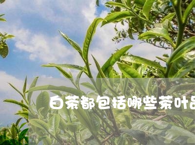 白茶都包括哪些茶叶品种图片/2023111432725