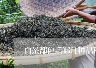 白茶都包括哪几种品种的茶/2023110704027