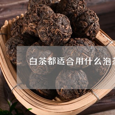 白茶都适合用什么泡茶器/2023110127470