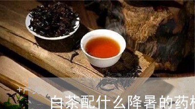 白茶配什么降暑的药材好喝/2023110781593