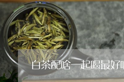 白茶配啥一起喝最好呢女士/2023110759492