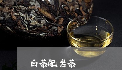 白茶配岩茶/2023051054068