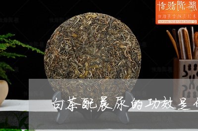 白茶配晨尿的功效是什么/2023110170413