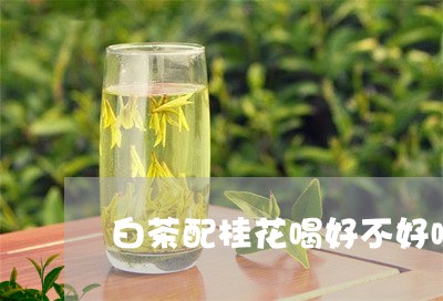 白茶配桂花喝好不好喝呀/2023063032934