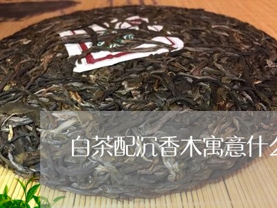 白茶配沉香木寓意什么/2023100797260