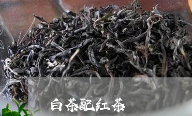 白茶配红茶/2023051045283