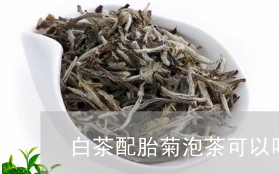 白茶配胎菊泡茶可以吗/2023100738362