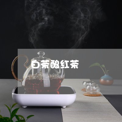 白茶酿红茶/2023051079483