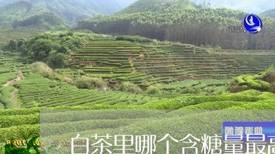 白茶里哪个含糖量最高/2023100731915