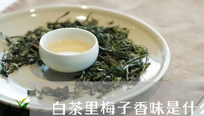 白茶里梅子香味是什么味道/2023110829479