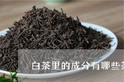 白茶里的成分有哪些茶树/2023110152735